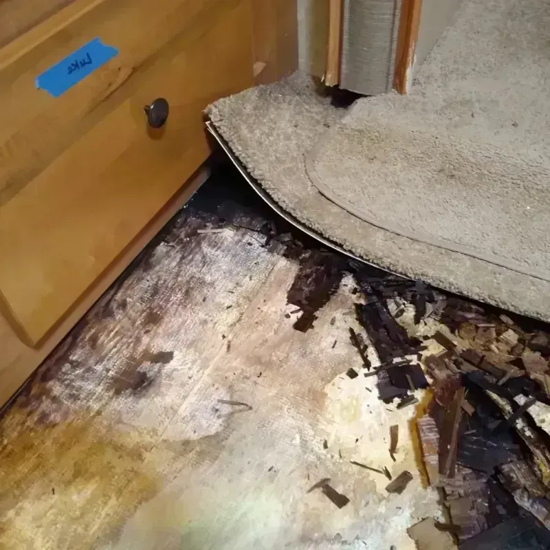 Best Wood Floor Water Damage Service in Chippewa County, MI